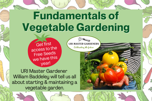 fundamentals of vegetable gardening